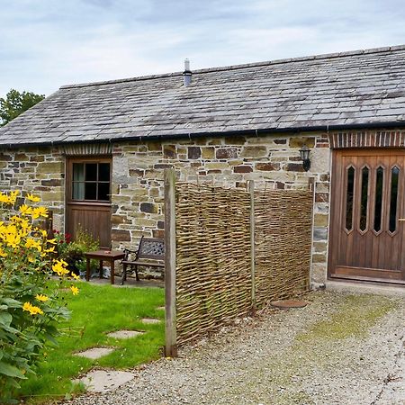 Penno Cottage - 24440 Bodmin Exterior foto